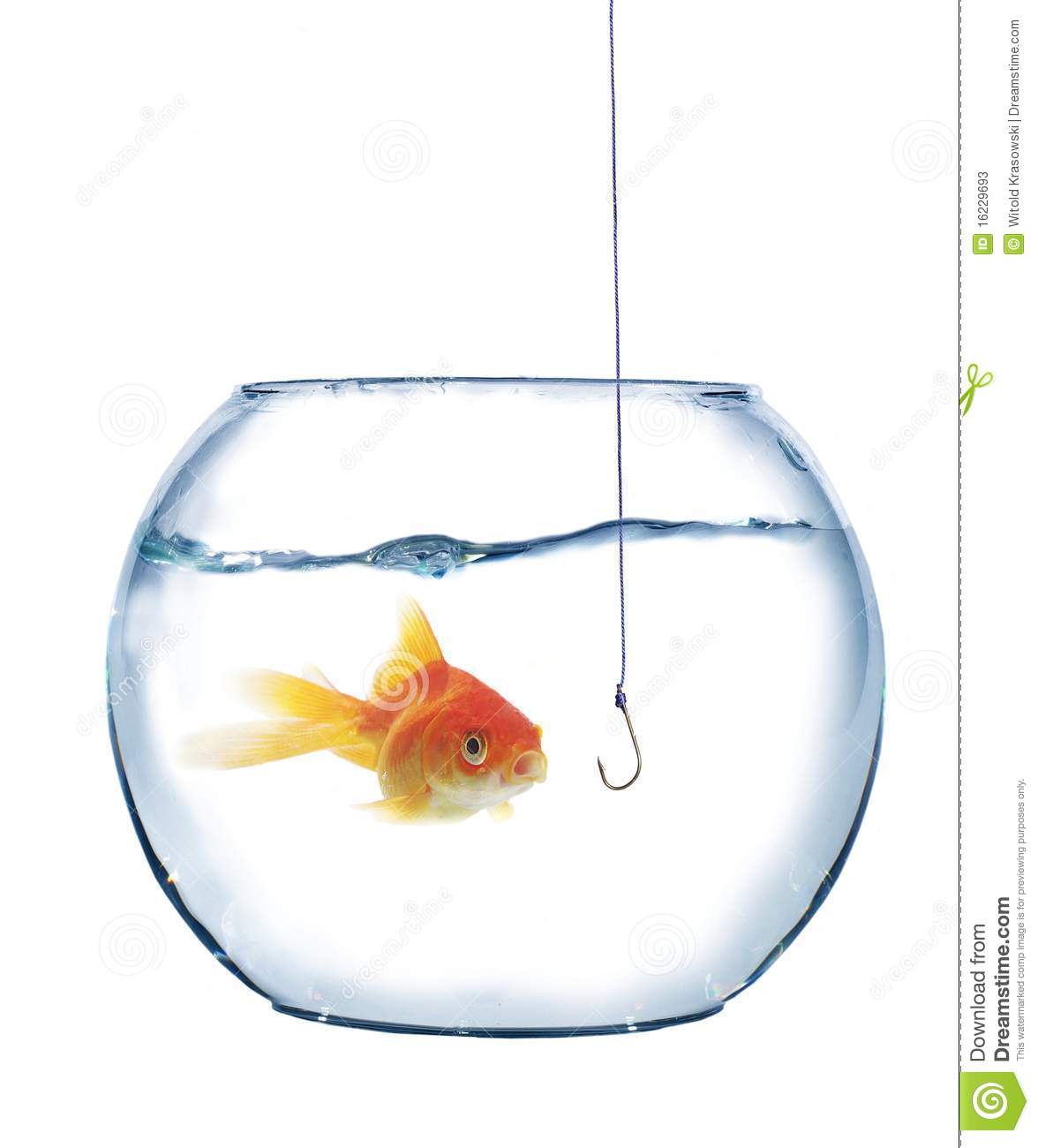 More Similar Stock Images Of   Gold Fish And Empty Hook  