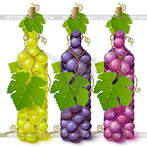 Vine Grape Bottles   Vector Eps Clipart