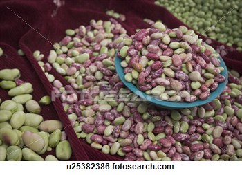 Beans Legumes View Large Photo Image