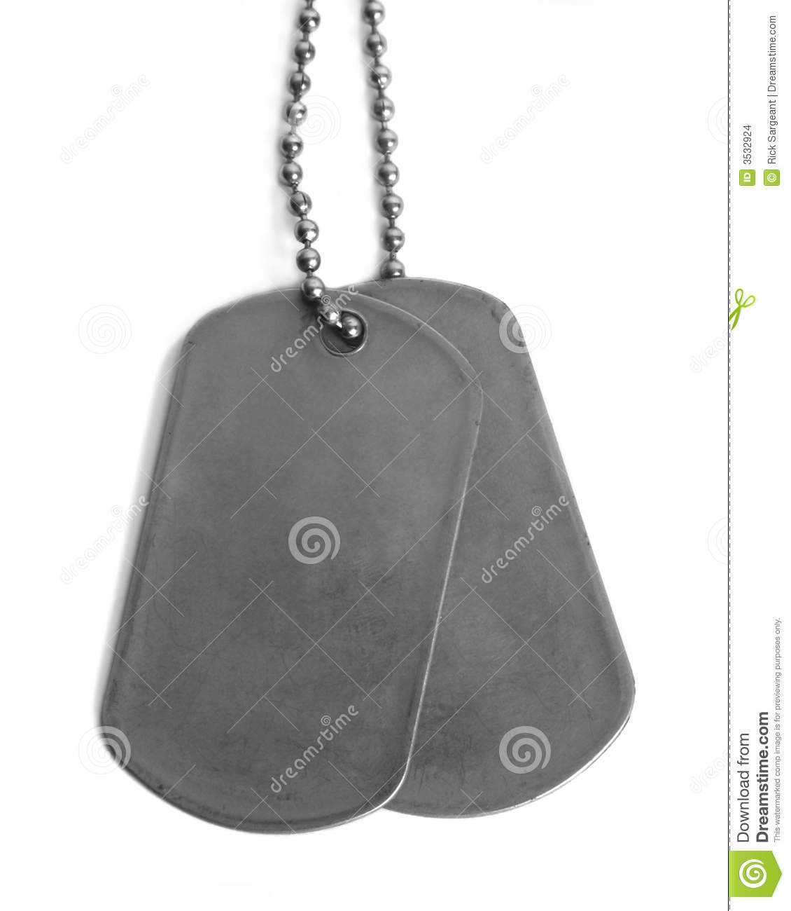 Dog Tags On A White Background