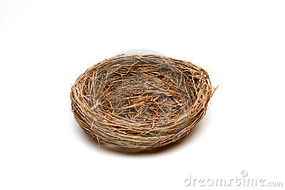 Empty Nest Royalty Free Stock Image   Image  1066986