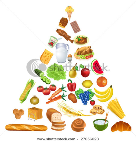 Food Pyramid Nutritious Foods Of All Types   Vector Clip Art