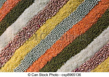 Stock Image Of Colorful Striped Rows Of Dry Beans Legumes Peas    