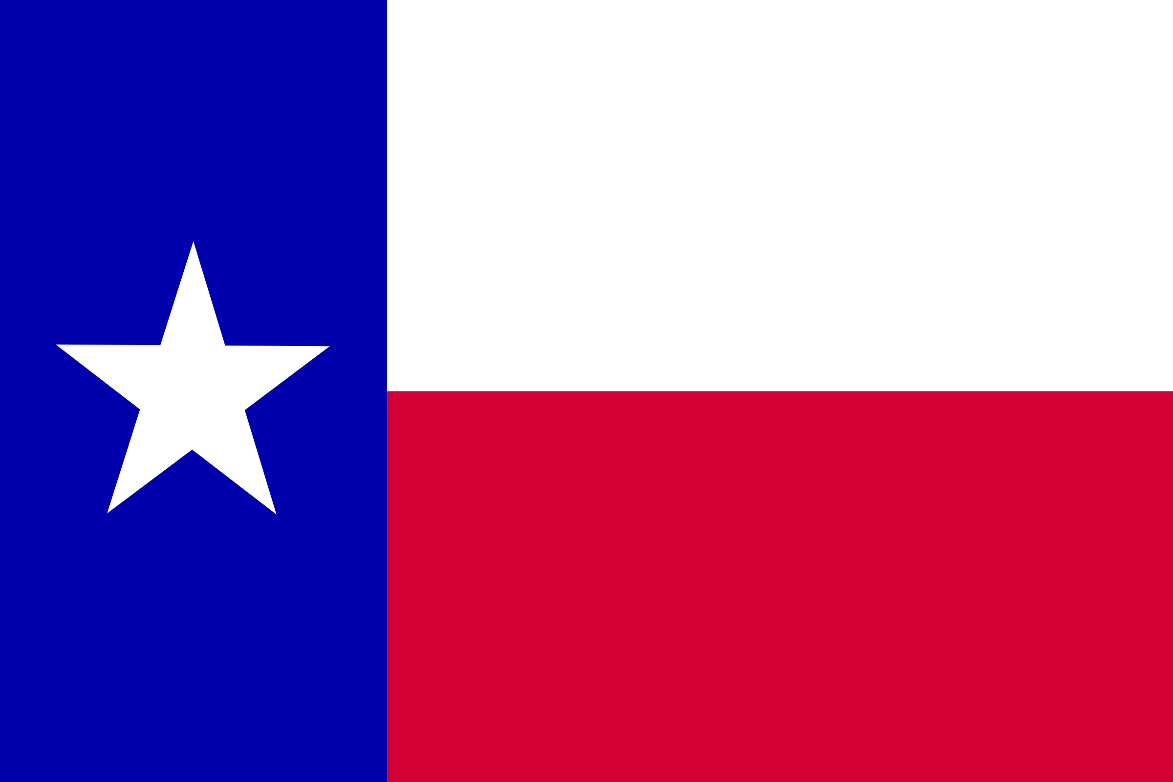 Flag Of The State Of Texas By Anonymous
