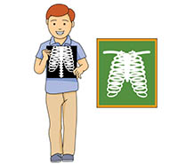 Free Health Animated Clipart   Health Animated Gifs   Flash Animations