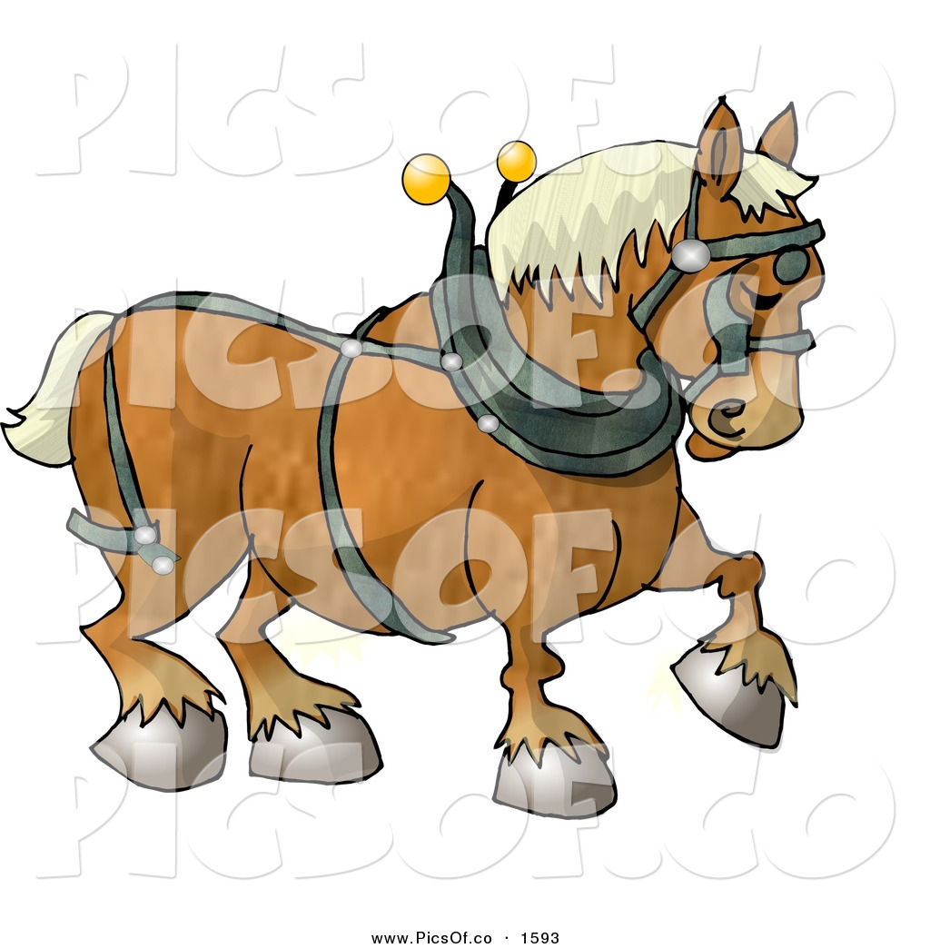 Larger Preview  Picture Of A Belgian Heavy Draft Horse Walking To The    