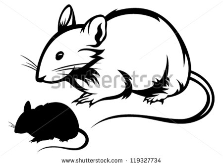 Mouse Black And White Outline And Silhouette Stock Vector Illustration