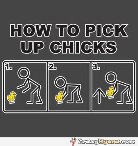 Pick Up Room Clipart Name  Pick Up Chicks Clip Art
