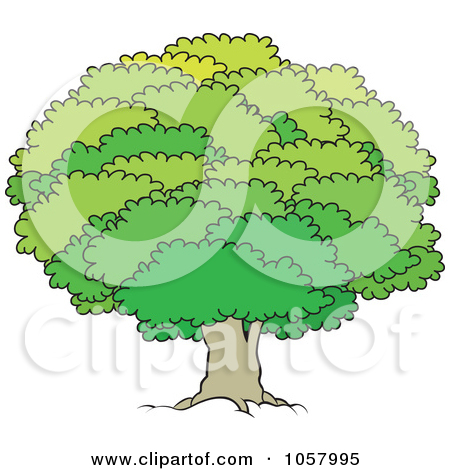 Royalty Free Vector Clip Art Illustration Of A Mature Tree With A Lush