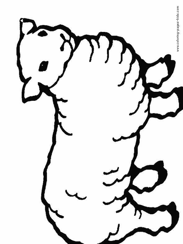 Sheep Color Page Animal Coloring Pages Color Plate Coloring Sheet    