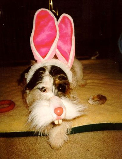 The World S Top 10 Obviously Fake Easter Bunnies