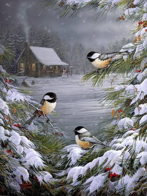 Winter Scape With Birds   Snow Pics I Love Snow   Pinterest