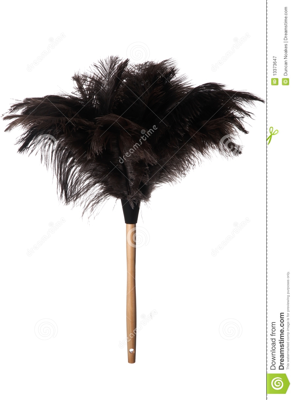 Black Ostrich Feather Duster With Wooden Handle Isolated On White