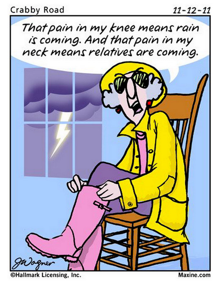 Chuck S Fun Page 2  Maxine Cartoons