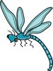     Dragonfly Clipart Dragonfly Pictures Dragonfly Clipart Dragonfly Clip