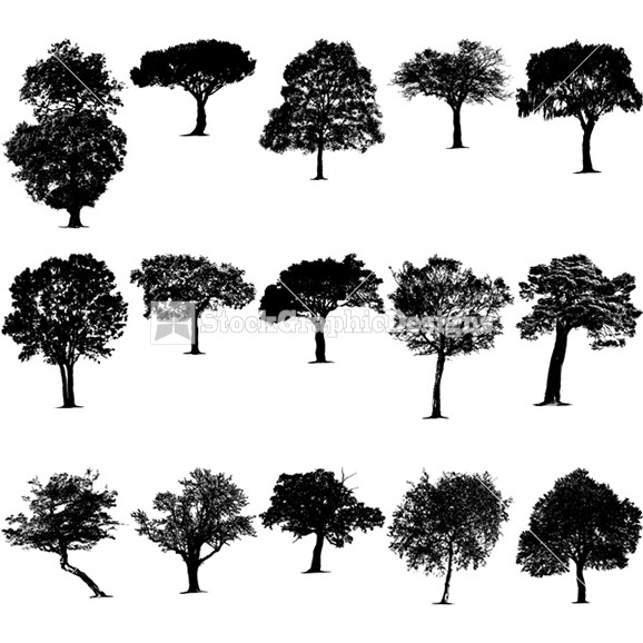 Forest Silhouette Clip Art Tree Silhouettes Clip Art