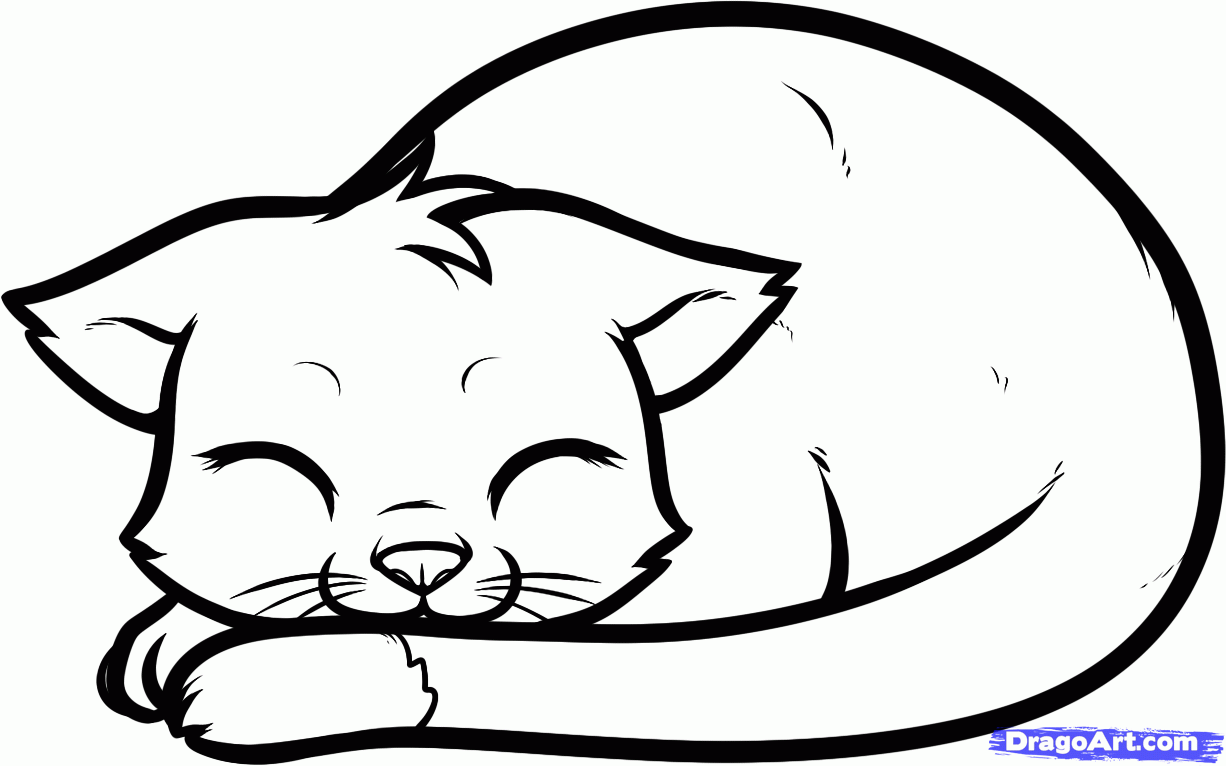 How To Draw A Sleeping Cat Sleeping Cat Step By Step Pets Animals