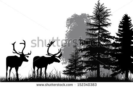 Illustration With Deer Silhouettes In Forest Isolated On White
