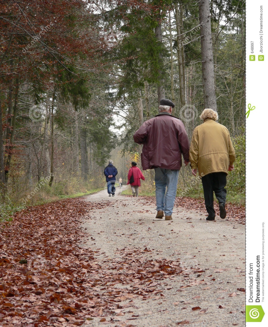 Old People Walking Outdoor Royalty Free Stock Photography   Image    