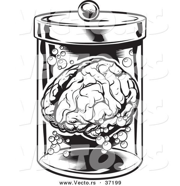 Royalty Free Brain Stock Clipart Illustrations
