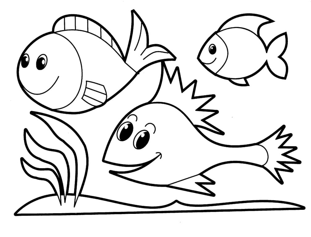 School Of Fish Drawing   Clipart Panda   Free Clipart Images