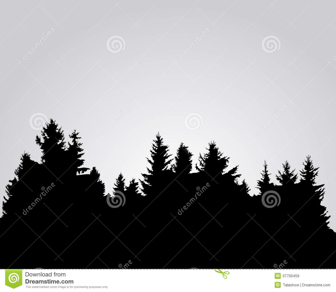 Silhouette Of Spruce Forest Royalty Free Stock Images   Image    