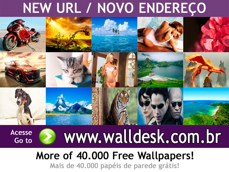 Wallpapers Is It Friday Yet  Free Photos For Pc Computer And Download