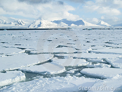 Winter In The Arctic   Arctic Ocean   Pack Ice On The Sea Surface 