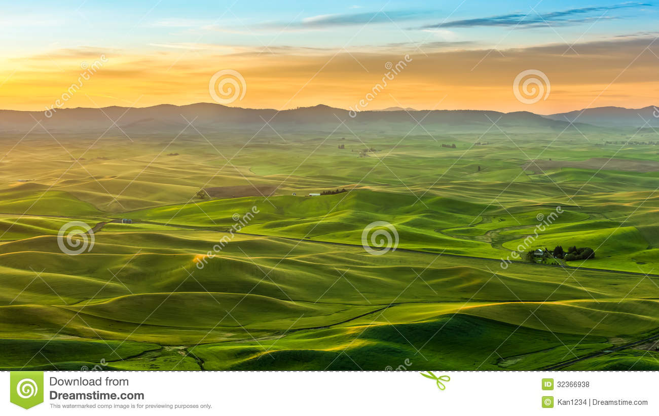 Beautiful Landscape Of Crop Field In Palouse In The Morning Royalty    