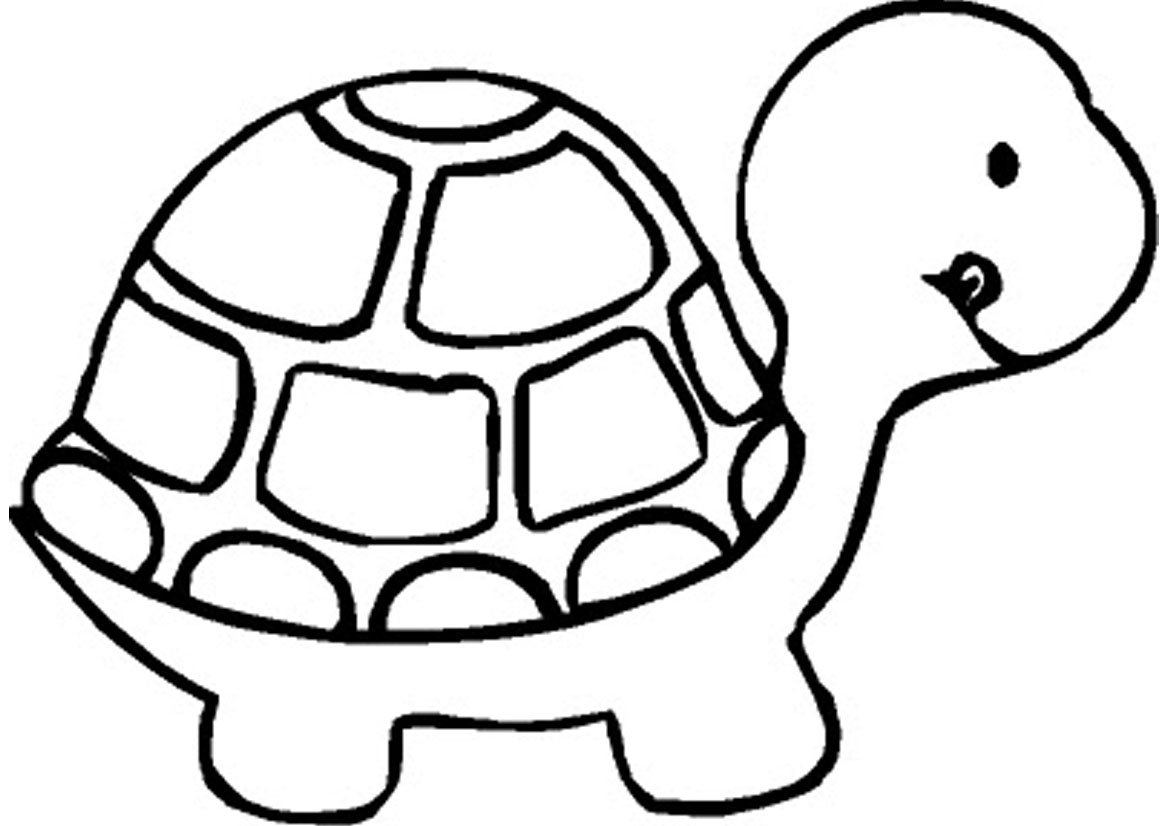 Cartoon Baby Turtle   Clipart Best