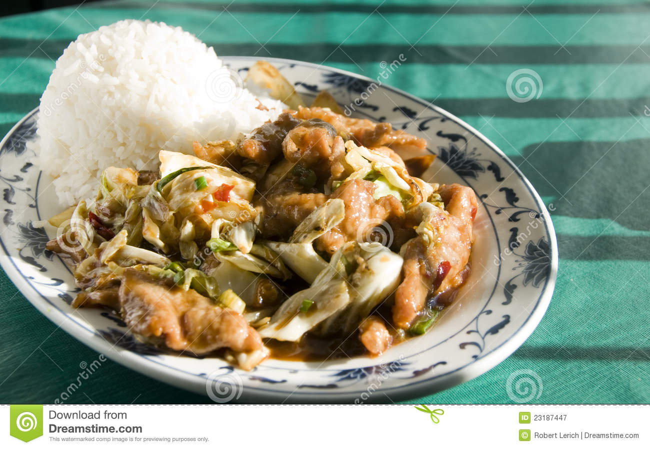 Chinese Food Twice Cooked Chicken Royalty Free Stock Photography
