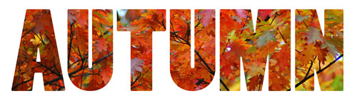 Colorful Autumn Word Art Banner Leehansen Com