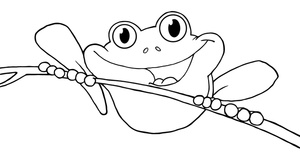 Frog Coloring Page Clipart Image  Coloring Page Of A Frog In A Rain