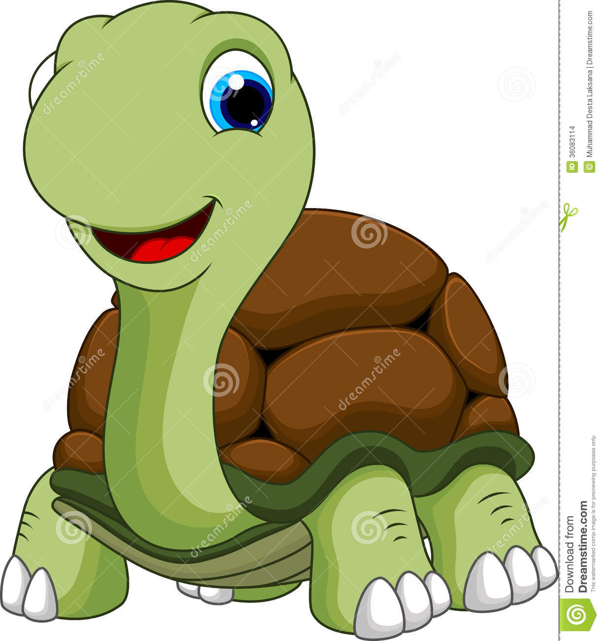 Funny Turtle Cartoon Stock Images   Image  36083114