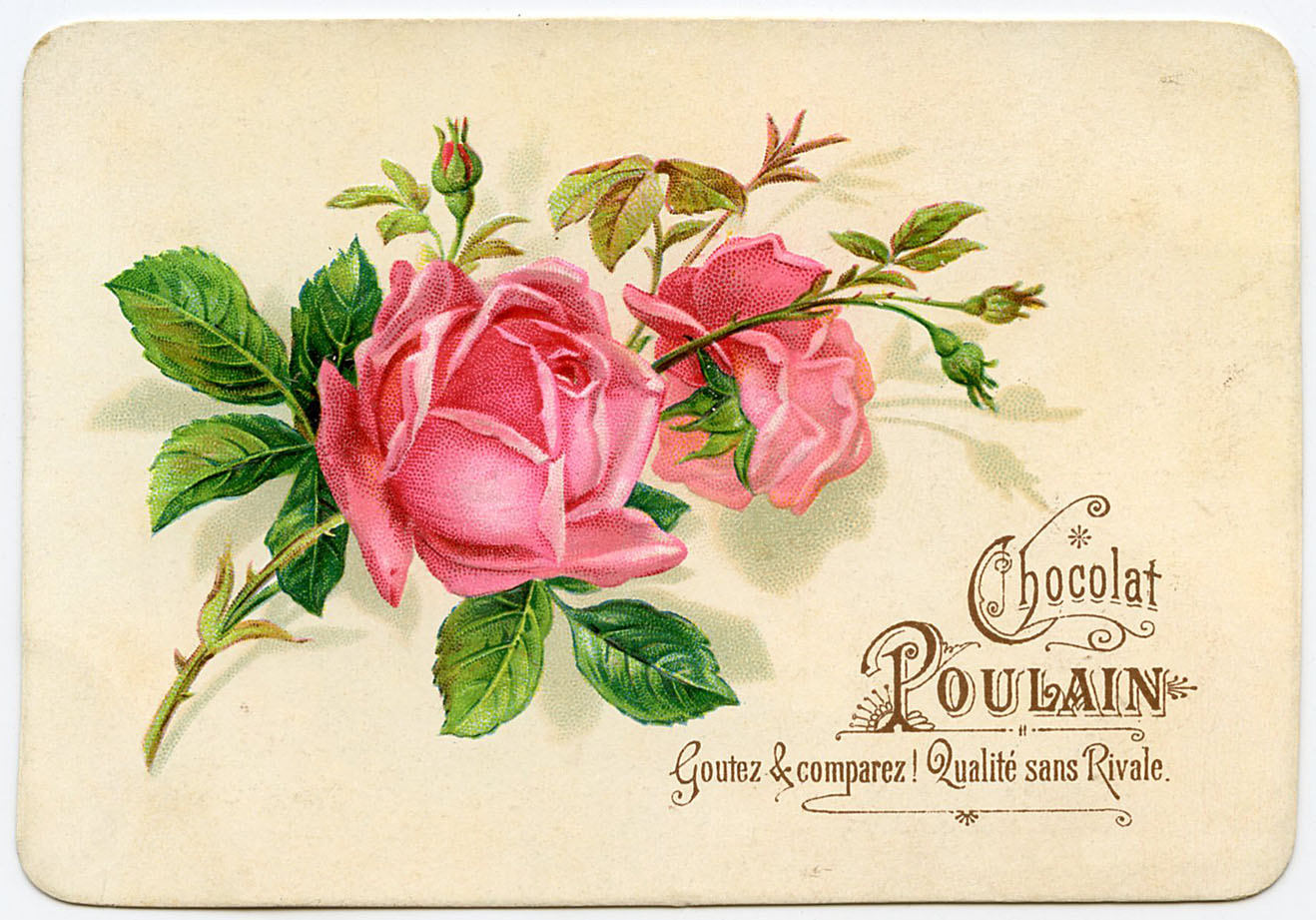 Hersenskim  Folklore   Inspiration Friday   A Rose A Song And A