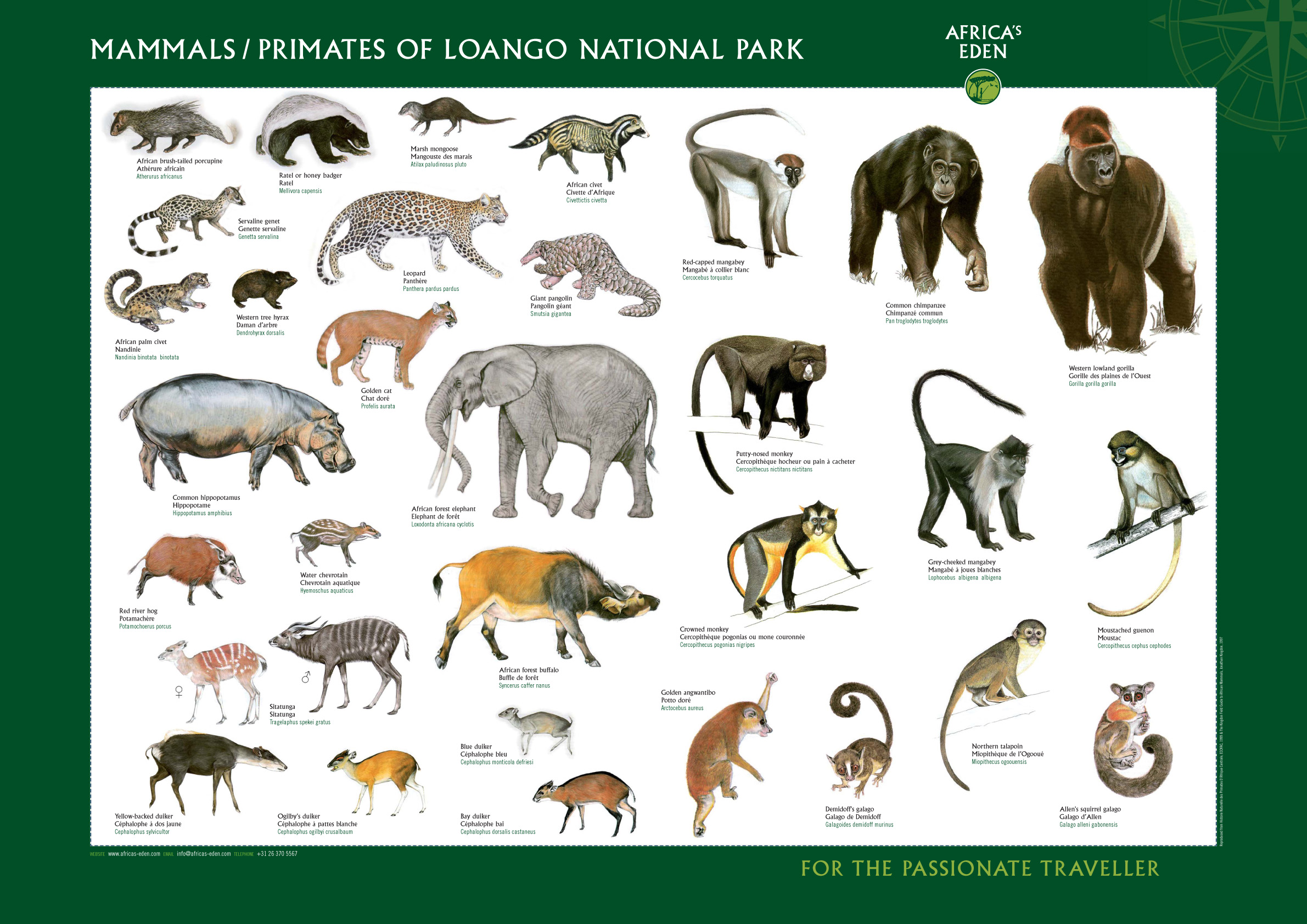 Mammals History And Some Interesting Facts