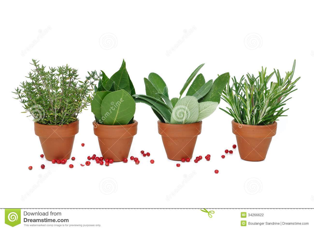 Pot Of Various Herbs With Red Berries On White Background 