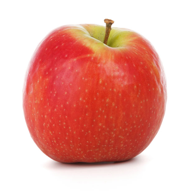 Red Apple Clipart Red Apple Isolated