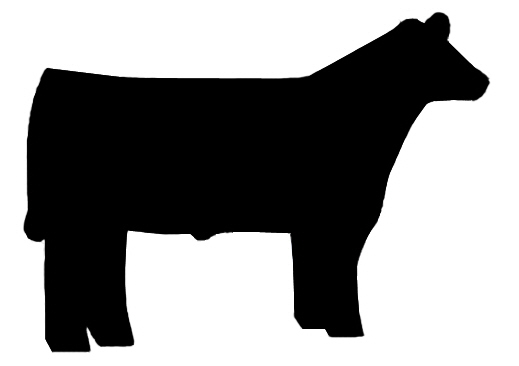 Showing  19  Pics For Livestock Show Clipart   