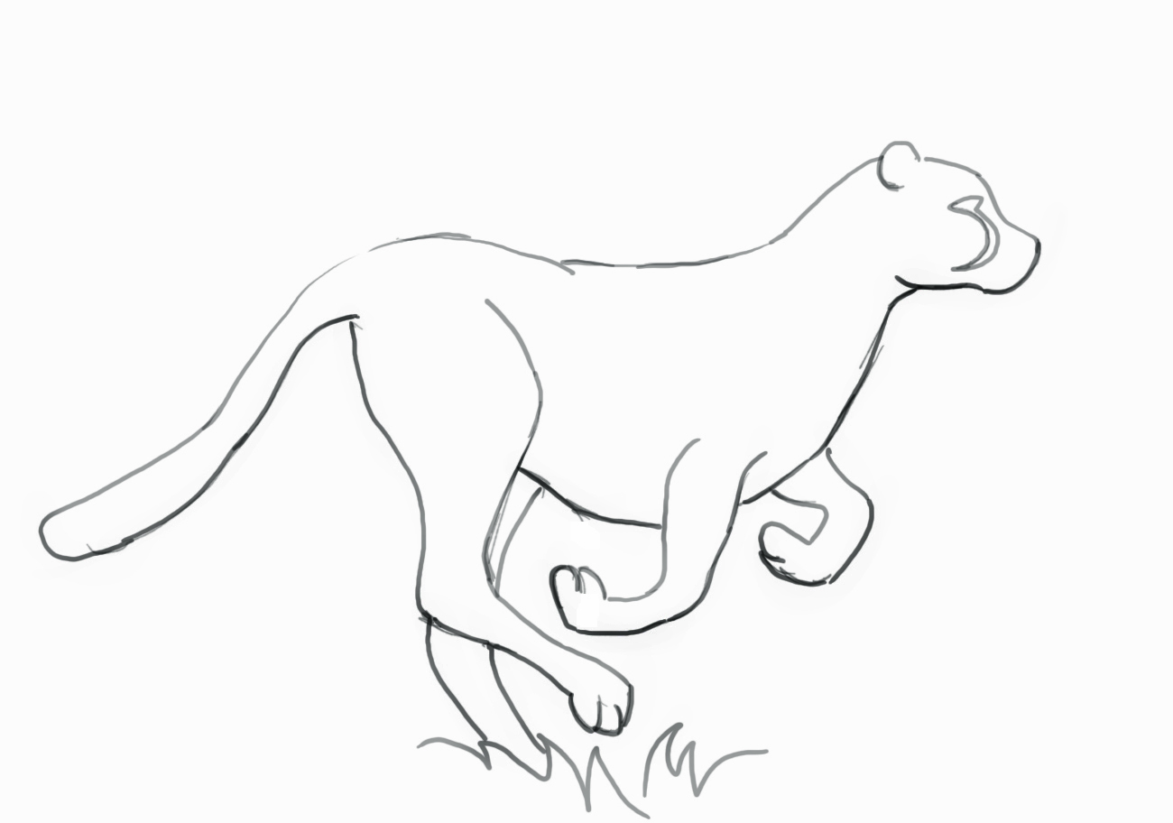 Use This Example To Help You Shade The Cheetah And Add A Realistic    