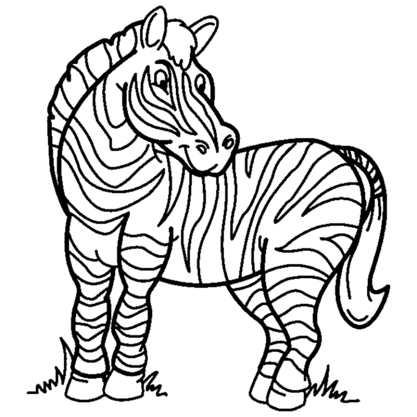 Zebra Coloring Pages   Coloring Town