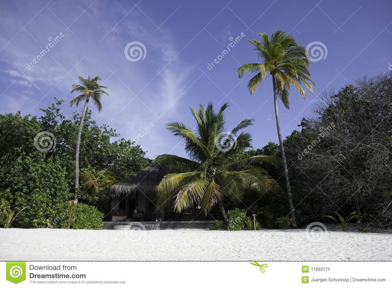 Beach Bungalow On A Tropical Island Mirihi South Ari Atoll Maldives