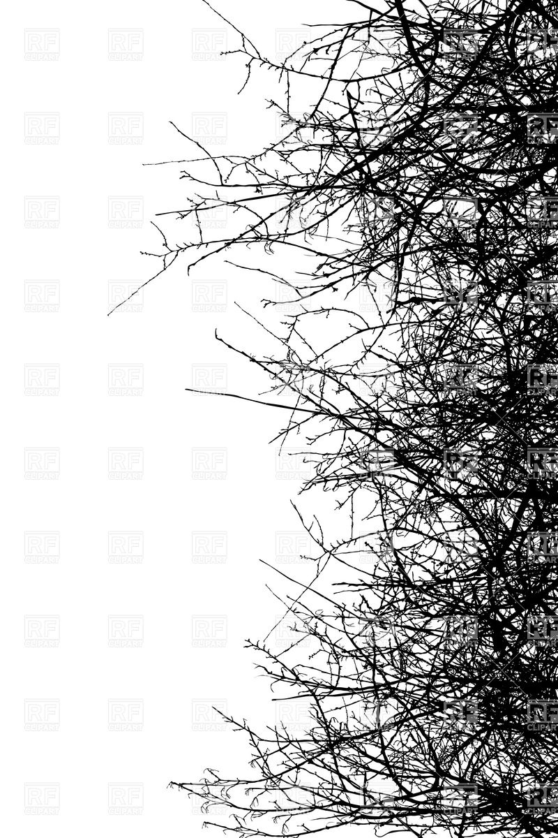 Dry Bush Silhouette   Branches And Twigs 11533 Silhouettes Outlines