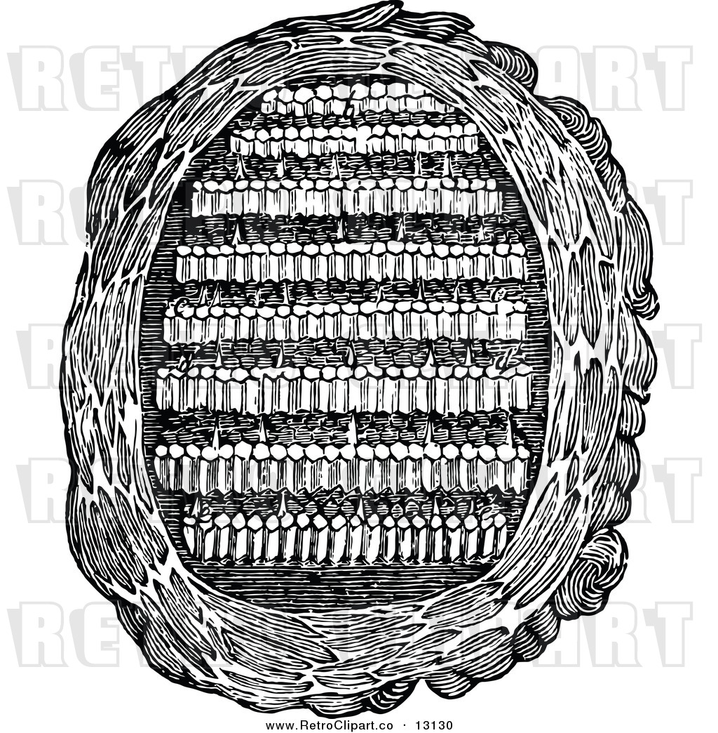 Hornets Nest Clipart And White Paper Wasp Nest
