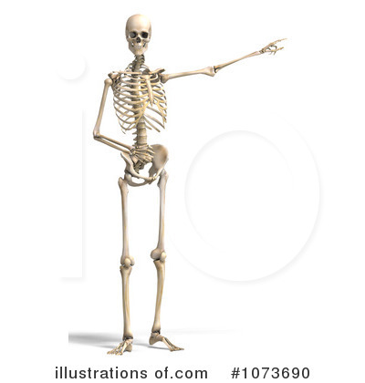 Skeleton Clipart  1073690 By Ralf61   Royalty Free  Rf  Stock    