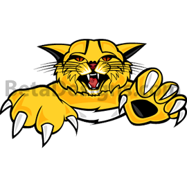 Wildcat Clipart Shirt Design For Sport Shirts Mascot Pictures