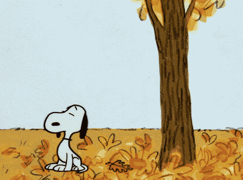 Autumn Gif   Find   Share On Giphy