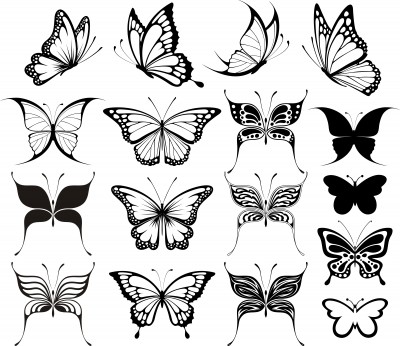 Butterfly Tattoo   Butterfly Tattoos And Ideas
