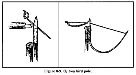 Stick Figure Bird