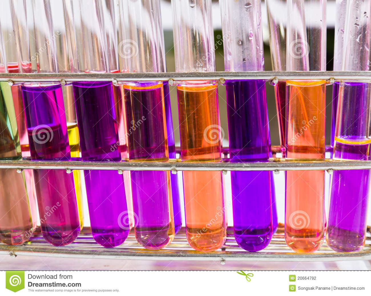 Test Tubes Sit In Rack Stock Photography   Image  20664792